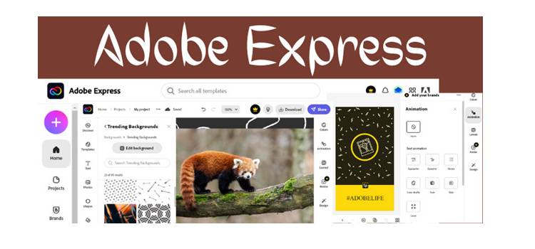 Adobe Express Review PROS & CONS (2022)